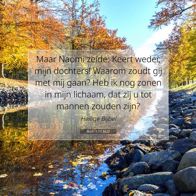 Picture 07 - Ruth 1:11 NLD - Maar Naomi zeide: Keert weder, mijn dochters! - Bible Verse Picture