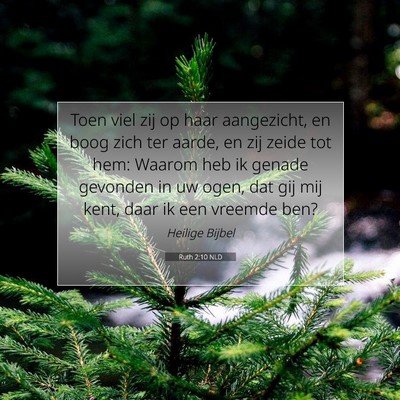 Picture 07 - Ruth 2:10 NLD - Toen viel zij op haar aangezicht, en boog zich - Bible Verse Picture