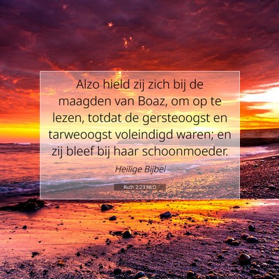 Picture 07 - Ruth 2:23 NLD - Alzo hield zij zich bij de maagden van Boaz, om - Bible Verse Picture