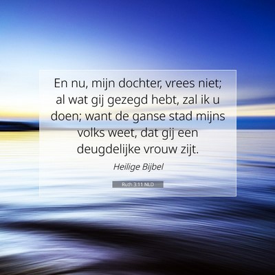 Picture 07 - Ruth 3:11 NLD - En nu, mijn dochter, vrees niet; al wat gij - Bible Verse Picture