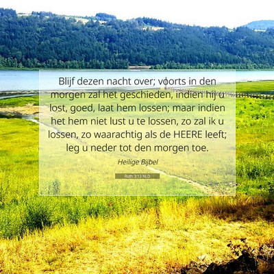 Picture 07 - Ruth 3:13 NLD - Blijf dezen nacht over; voorts in den morgen zal - Bible Verse Picture