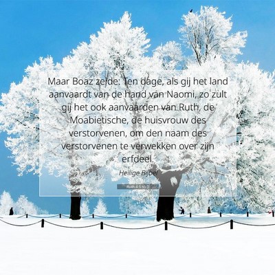 Picture 07 - Ruth 4:5 NLD - Maar Boaz zeide: Ten dage, als gij het land - Bible Verse Picture