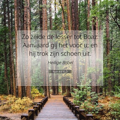 Picture 07 - Ruth 4:8 NLD - Zo zeide de losser tot Boaz: Aanvaard gij het - Bible Verse Picture