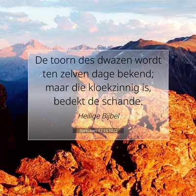 Picture 07 - Spreuken 12:16 NLD - De toorn des dwazen wordt ten zelven dage bekend; - Bible Verse Picture