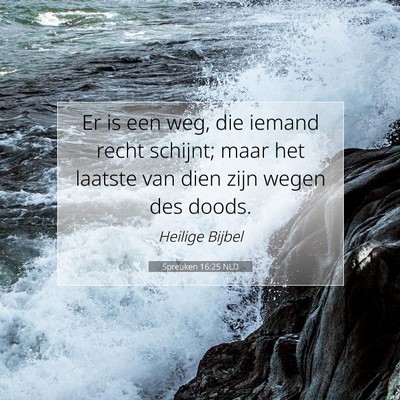 Picture 07 - Spreuken 16:25 NLD - Er is een weg, die iemand recht schijnt; maar het - Bible Verse Picture