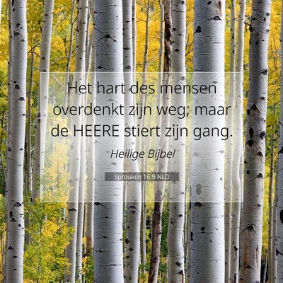 Picture 07 - Spreuken 16:9 NLD - Het hart des mensen overdenkt zijn weg; maar de - Bible Verse Picture
