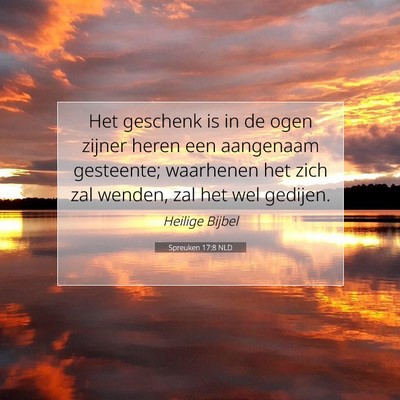 Picture 07 - Spreuken 17:8 NLD - Het geschenk is in de ogen zijner heren een - Bible Verse Picture