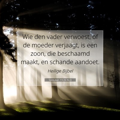 Picture 07 - Spreuken 19:26 NLD - Wie den vader verwoest, of de moeder verjaagt, is - Bible Verse Picture