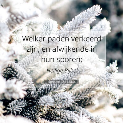 Picture 07 - Spreuken 2:15 NLD - Welker paden verkeerd zijn, en afwijkende in hun - Bible Verse Picture
