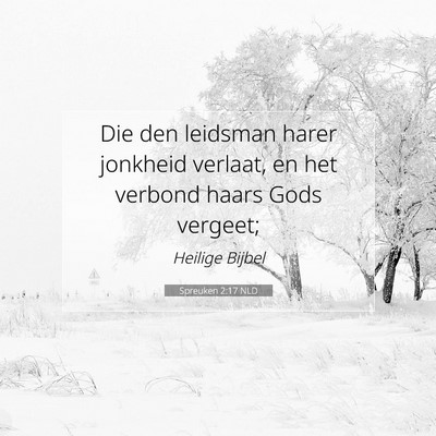 Picture 07 - Spreuken 2:17 NLD - Die den leidsman harer jonkheid verlaat, en het - Bible Verse Picture