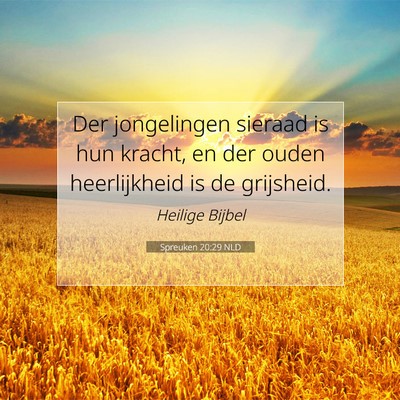 Picture 07 - Spreuken 20:29 NLD - Der jongelingen sieraad is hun kracht, en der - Bible Verse Picture