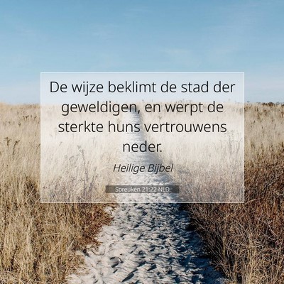 Picture 07 - Spreuken 21:22 NLD - De wijze beklimt de stad der geweldigen, en werpt - Bible Verse Picture