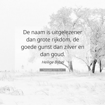 Picture 07 - Spreuken 22:1 NLD - De naam is uitgelezener dan grote rijkdom, de - Bible Verse Picture