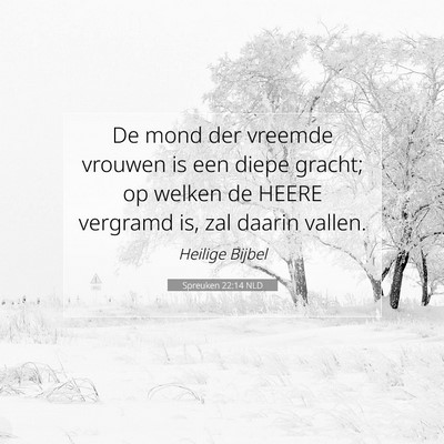 Picture 07 - Spreuken 22:14 NLD - De mond der vreemde vrouwen is een diepe gracht; - Bible Verse Picture
