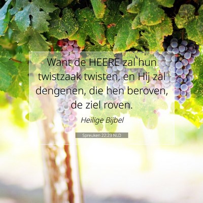Picture 07 - Spreuken 22:23 NLD - Want de HEERE zal hun twistzaak twisten, en Hij - Bible Verse Picture