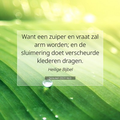 Picture 07 - Spreuken 23:21 NLD - Want een zuiper en vraat zal arm worden; en de - Bible Verse Picture