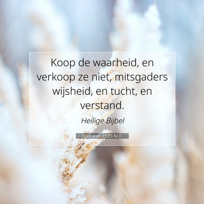 Picture 07 - Spreuken 23:23 NLD - Koop de waarheid, en verkoop ze niet, mitsgaders - Bible Verse Picture