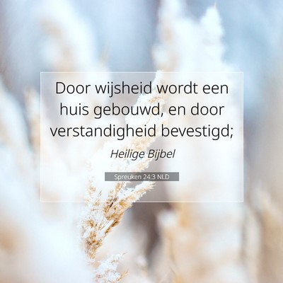 Picture 07 - Spreuken 24:3 NLD - Door wijsheid wordt een huis gebouwd, en door - Bible Verse Picture