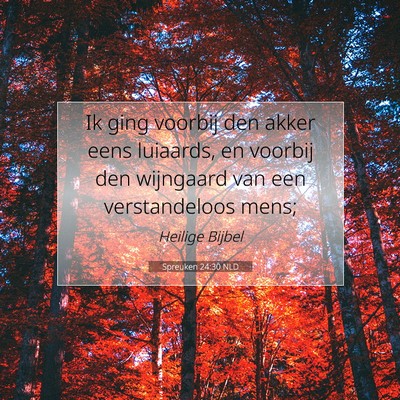 Picture 07 - Spreuken 24:30 NLD - Ik ging voorbij den akker eens luiaards, en - Bible Verse Picture