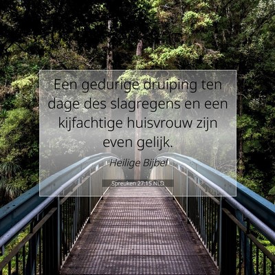 Picture 07 - Spreuken 27:15 NLD - Een gedurige druiping ten dage des slagregens en - Bible Verse Picture