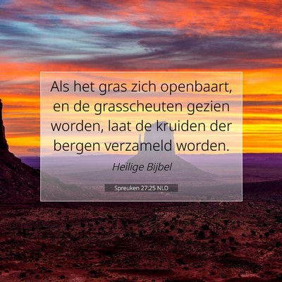 Picture 07 - Spreuken 27:25 NLD - Als het gras zich openbaart, en de grasscheuten - Bible Verse Picture