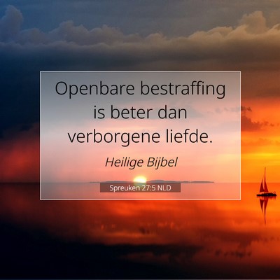 Picture 07 - Spreuken 27:5 NLD - Openbare bestraffing is beter dan verborgene - Bible Verse Picture