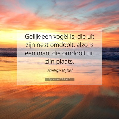 Picture 07 - Spreuken 27:8 NLD - Gelijk een vogel is, die uit zijn nest omdoolt, - Bible Verse Picture