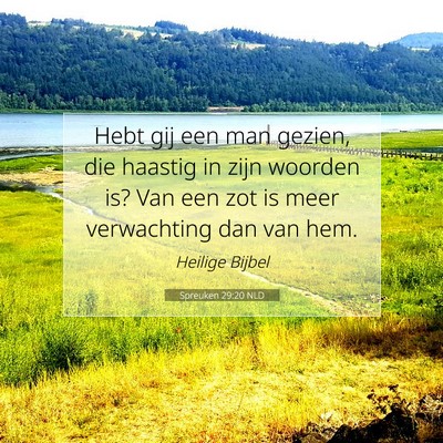 Picture 07 - Spreuken 29:20 NLD - Hebt gij een man gezien, die haastig in zijn - Bible Verse Picture