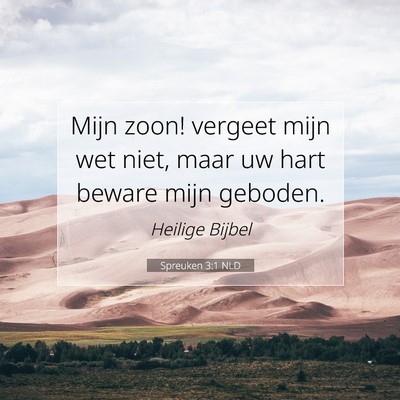 Picture 07 - Spreuken 3:1 NLD - Mijn zoon! vergeet mijn wet niet, maar uw hart - Bible Verse Picture