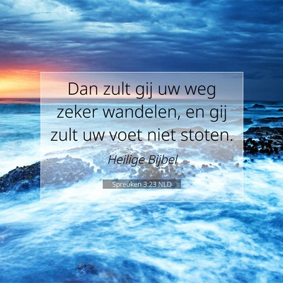 Picture 07 - Spreuken 3:23 NLD - Dan zult gij uw weg zeker wandelen, en gij zult - Bible Verse Picture