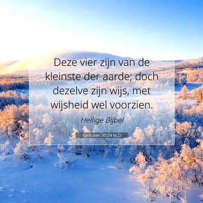 Picture 07 - Spreuken 30:24 NLD - Deze vier zijn van de kleinste der aarde; doch - Bible Verse Picture