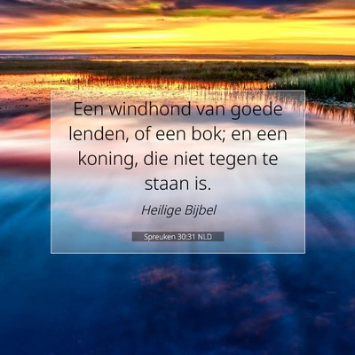 Picture 07 - Spreuken 30:31 NLD - Een windhond van goede lenden, of een bok; en een - Bible Verse Picture