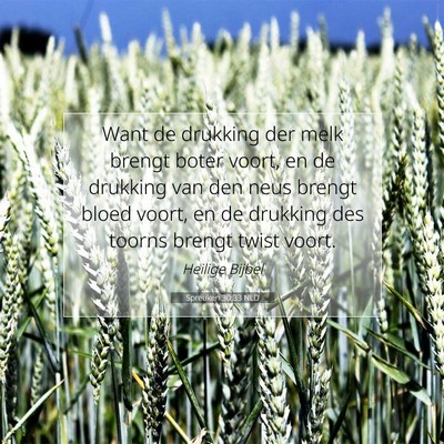 Picture 07 - Spreuken 30:33 NLD - Want de drukking der melk brengt boter voort, en - Bible Verse Picture