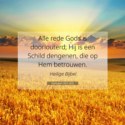 Picture 07 - Spreuken 30:5 NLD - Alle rede Gods is doorlouterd; Hij is een Schild - Bible Verse Picture