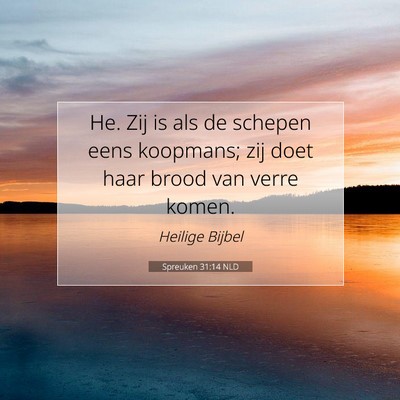 Picture 07 - Spreuken 31:14 NLD - He. Zij is als de schepen eens koopmans; zij doet - Bible Verse Picture