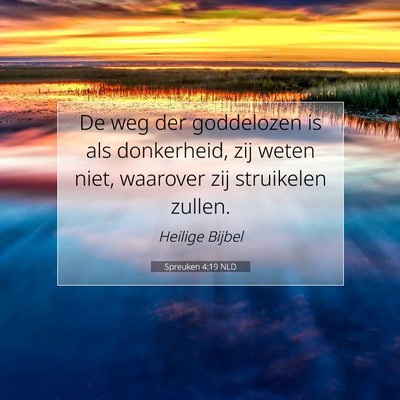 Picture 07 - Spreuken 4:19 NLD - De weg der goddelozen is als donkerheid, zij - Bible Verse Picture