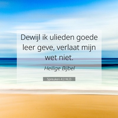 Picture 07 - Spreuken 4:2 NLD - Dewijl ik ulieden goede leer geve, verlaat mijn - Bible Verse Picture