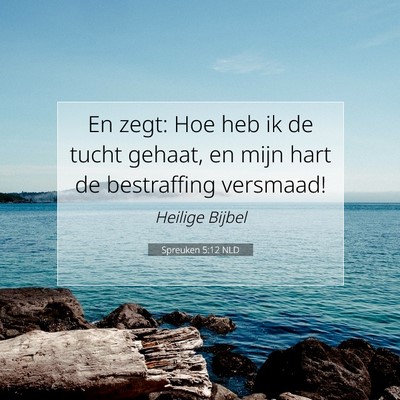 Picture 07 - Spreuken 5:12 NLD - En zegt: Hoe heb ik de tucht gehaat, en mijn hart - Bible Verse Picture
