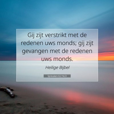 Picture 07 - Spreuken 6:2 NLD - Gij zijt verstrikt met de redenen uws monds; gij - Bible Verse Picture