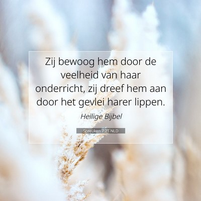 Picture 07 - Spreuken 7:21 NLD - Zij bewoog hem door de veelheid van haar - Bible Verse Picture