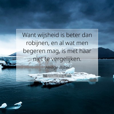 Picture 07 - Spreuken 8:11 NLD - Want wijsheid is beter dan robijnen, en al wat - Bible Verse Picture