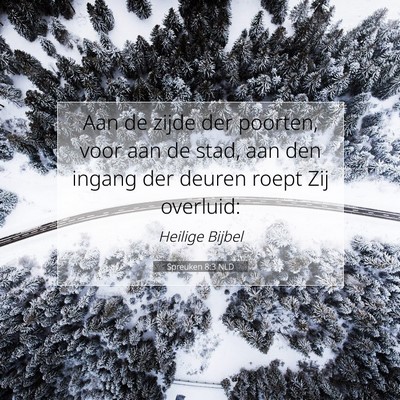 Picture 07 - Spreuken 8:3 NLD - Aan de zijde der poorten, voor aan de stad, aan - Bible Verse Picture