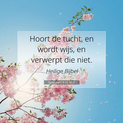Picture 07 - Spreuken 8:33 NLD - Hoort de tucht, en wordt wijs, en verwerpt die - Bible Verse Picture