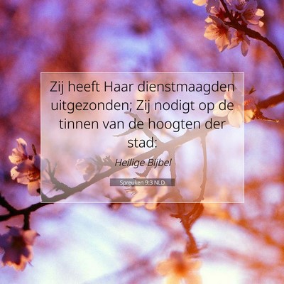 Picture 07 - Spreuken 9:3 NLD - Zij heeft Haar dienstmaagden uitgezonden; Zij - Bible Verse Picture
