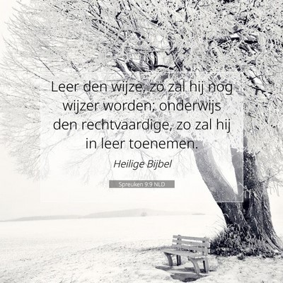 Picture 07 - Spreuken 9:9 NLD - Leer den wijze, zo zal hij nog wijzer worden; - Bible Verse Picture