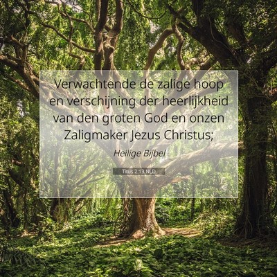 Picture 07 - Titus 2:13 NLD - Verwachtende de zalige hoop en verschijning der - Bible Verse Picture
