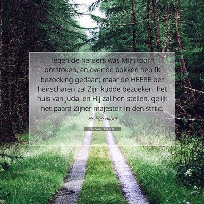 Picture 07 - Zacharia 10:3 NLD - Tegen de herders was Mijn toorn ontstoken, en - Bible Verse Picture