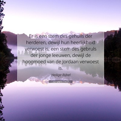 Picture 07 - Zacharia 11:3 NLD - Er is een stem des gehuils der herderen, dewijl - Bible Verse Picture