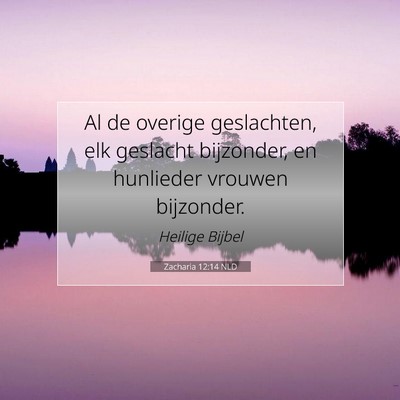 Picture 07 - Zacharia 12:14 NLD - Al de overige geslachten, elk geslacht bijzonder, - Bible Verse Picture