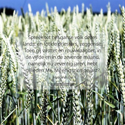 Picture 07 - Zacharia 7:5 NLD - Spreek tot het ganse volk dezes lands, en tot de - Bible Verse Picture